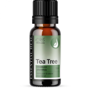 tea-tree-illoolaj-teafa-illoolaj