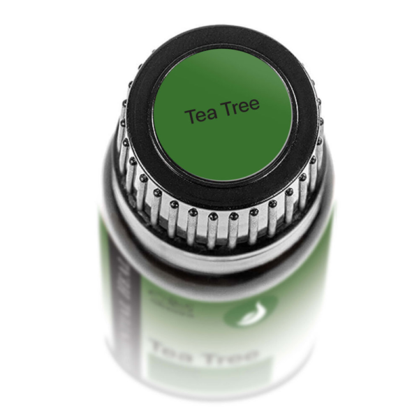 Tea Tree illóolaj - Teafa illóolaj - Image 3