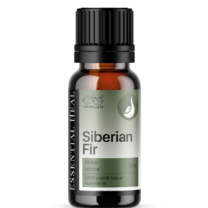 siberian-fir-sziberiai-jegenyefenyo-illoolaj