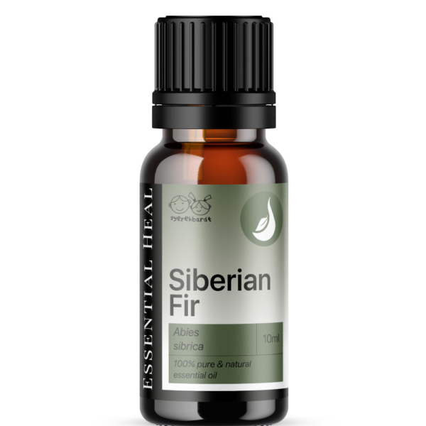 siberian-fir-sziberiai-jegenyefenyo-illoolaj