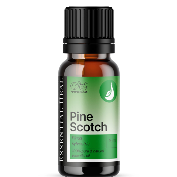 Pine Scotch - Erdeifenyő illóolaj - Image 2