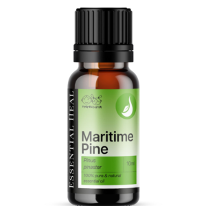 Maritime Pine - Tengerparti fenyő illóolaj