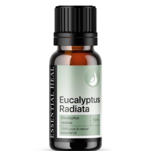 Eucalyptus Radiata - Eukaliptusz Radiata illóolaj