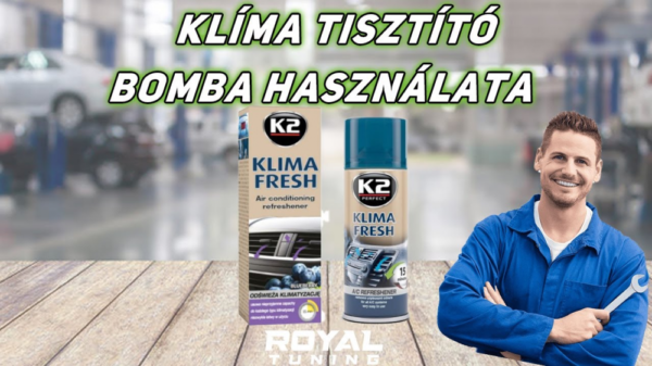Klíma tisztító spray áfonya illatú - Image 4