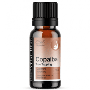 Copaiba Oleoresin - Copaiba illóolaj Tree Tapping