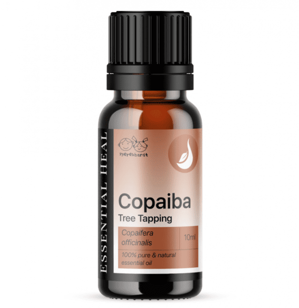 Copaiba Oleoresin - Copaiba illóolaj Tree Tapping