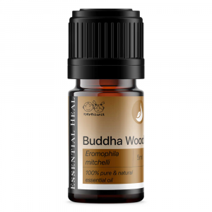 buddha-wood-buddha-fa-illoolaj